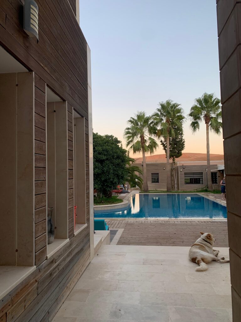 73c297ae-bbb4-4aef-b1c3-4da59bde9728